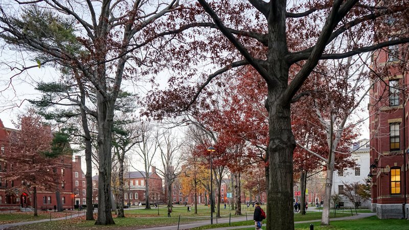 Harvard Yard — the university's funding was frozen for refusing political demands